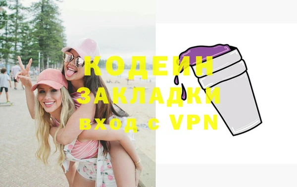 дмт Инсар