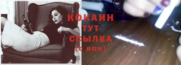 мет Карпинск