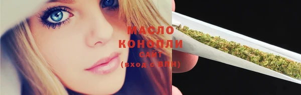 дмт Инсар