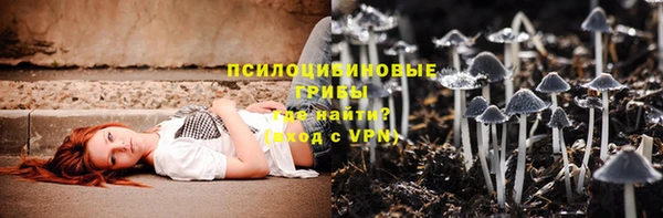 мет Карпинск