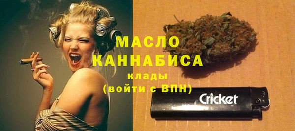 винт Инта