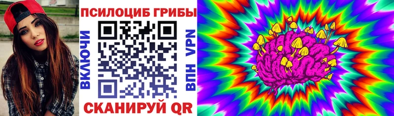 Галлюциногенные грибы мицелий  mega   Карасук  где купить  